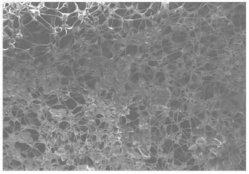 Photothermal composite material, and preparation method and application thereof