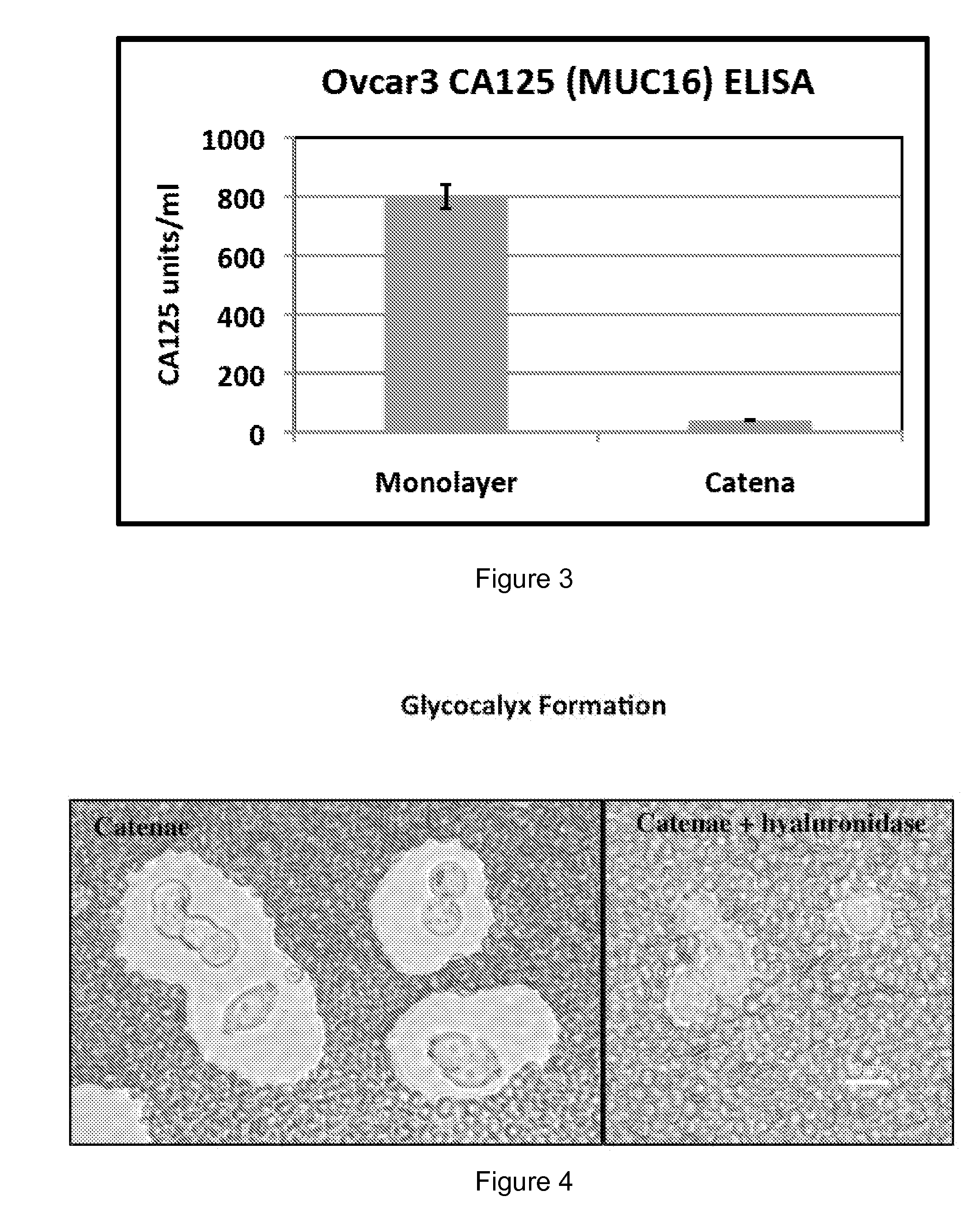 Methods of Treating Serosal Cancer