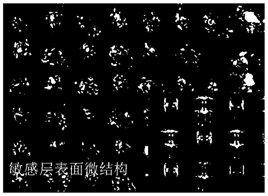 Preparation method of flexible film pressure sensor