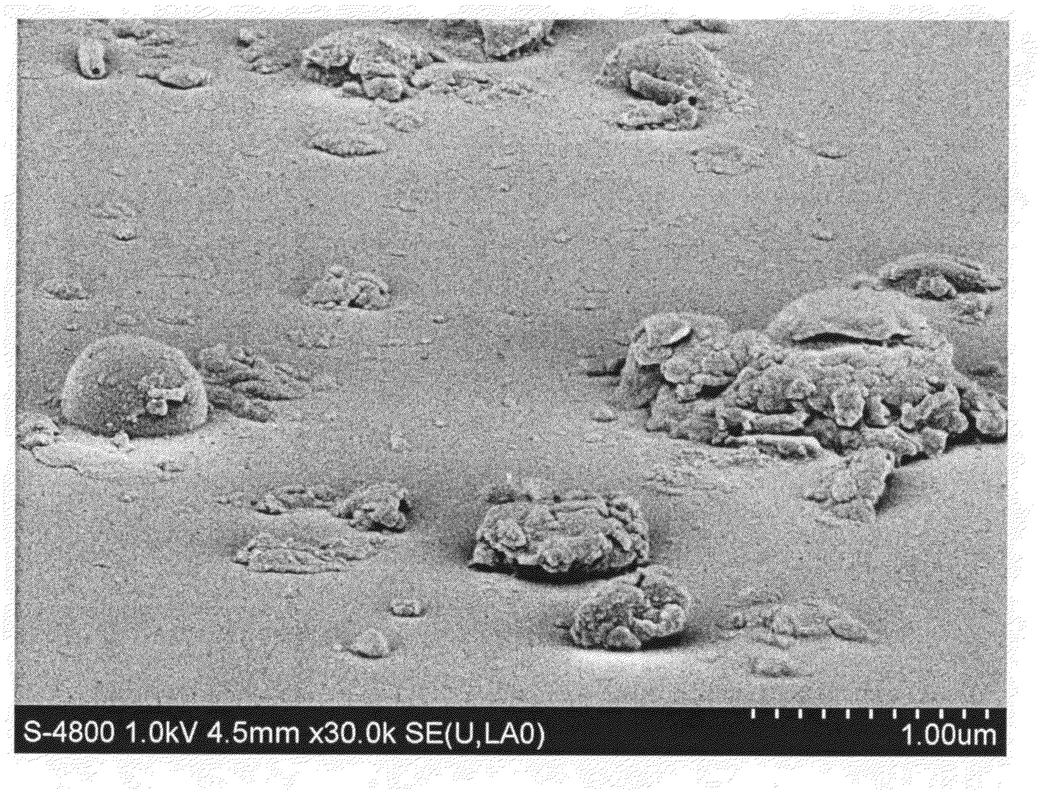 Process for Forming High Surface Area Embedded Coating with High Abrasion Resistance