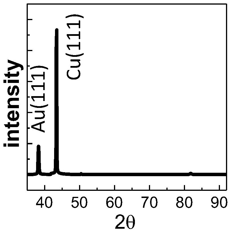 Method for vertical heteroepitaxy of single crystal metal film on the basis of single crystal copper