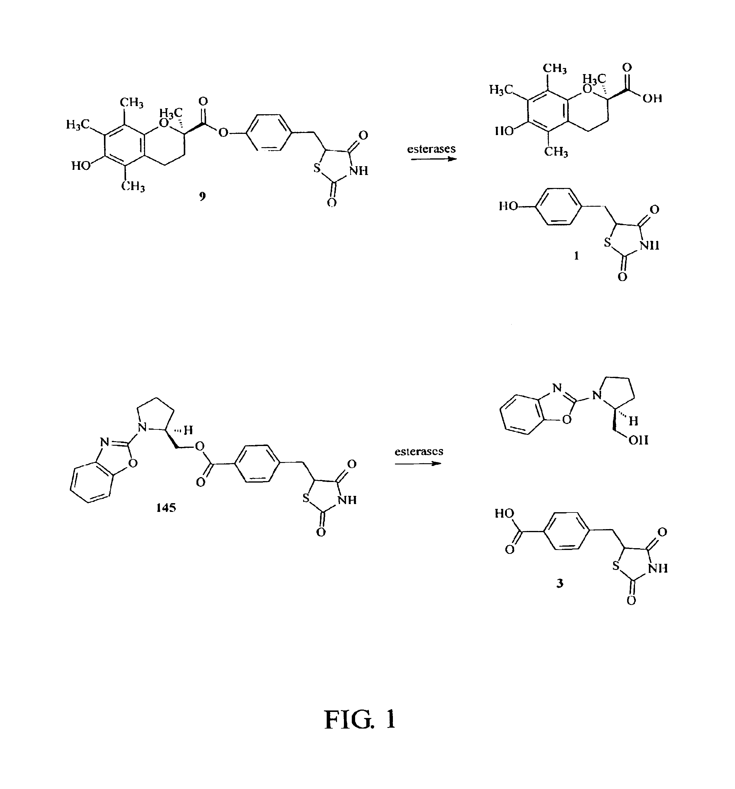 Materials and methods for the treatment of diabetes, hyperlipidemia, hypercholesterolemia, and atherosclerosis