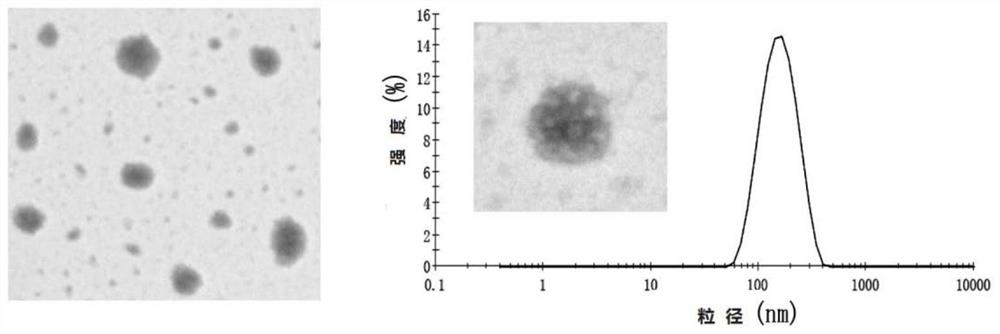 Pharmaceutical carrier, micelle, pharmaceutical preparation, and preparation method and use thereof