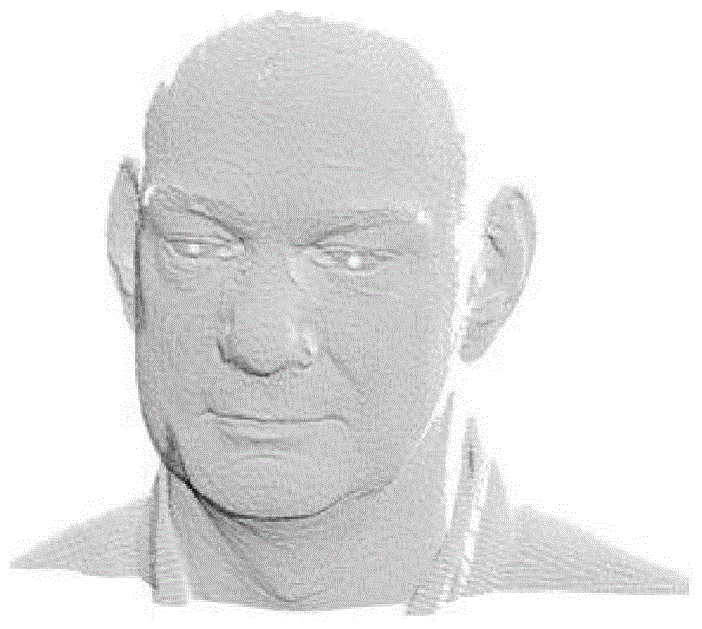 Three-dimensional face recognition method based on face contour lines of semi-rigid areas