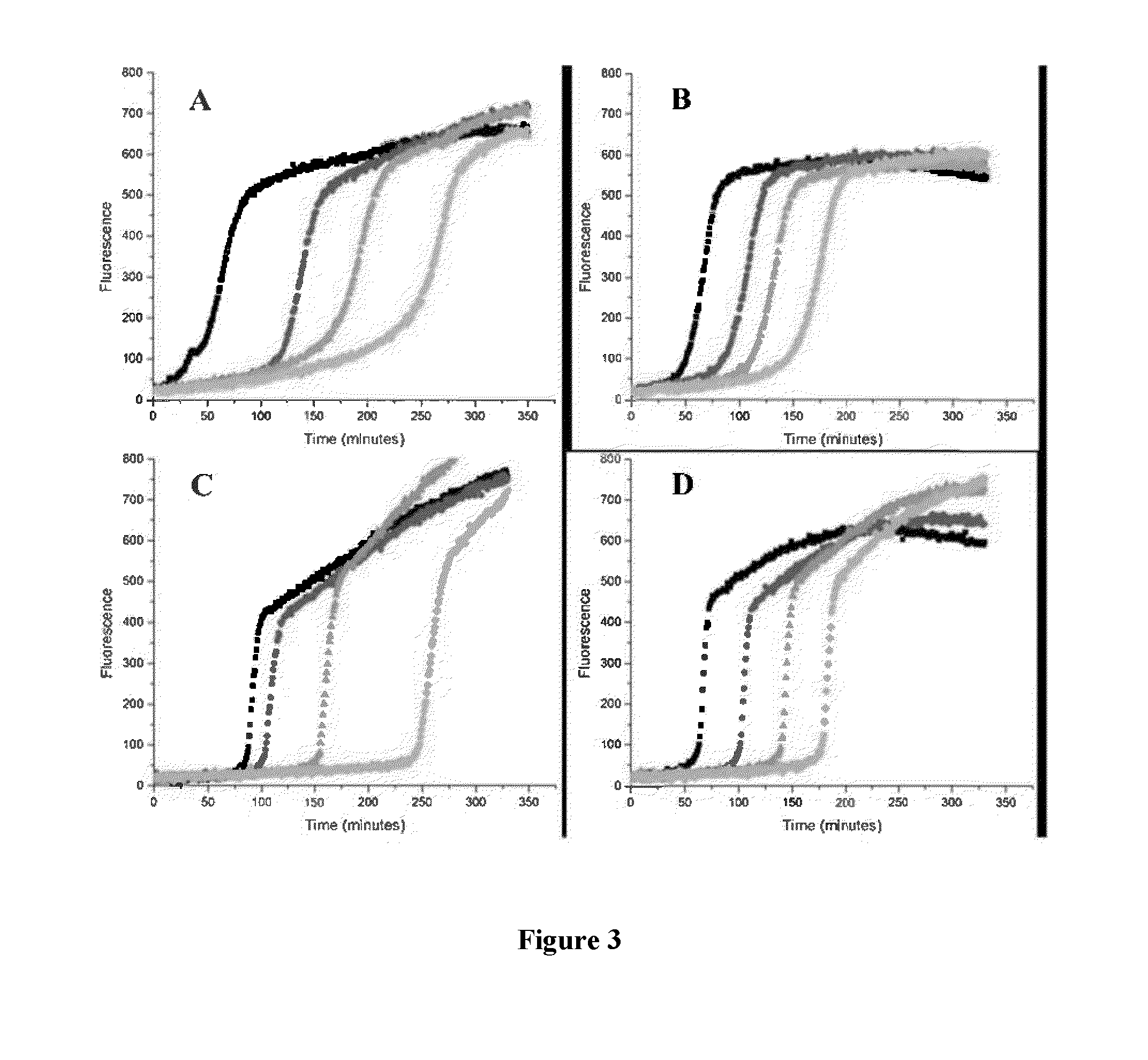 Thiosulfinate antioxidants and methods of use thereof