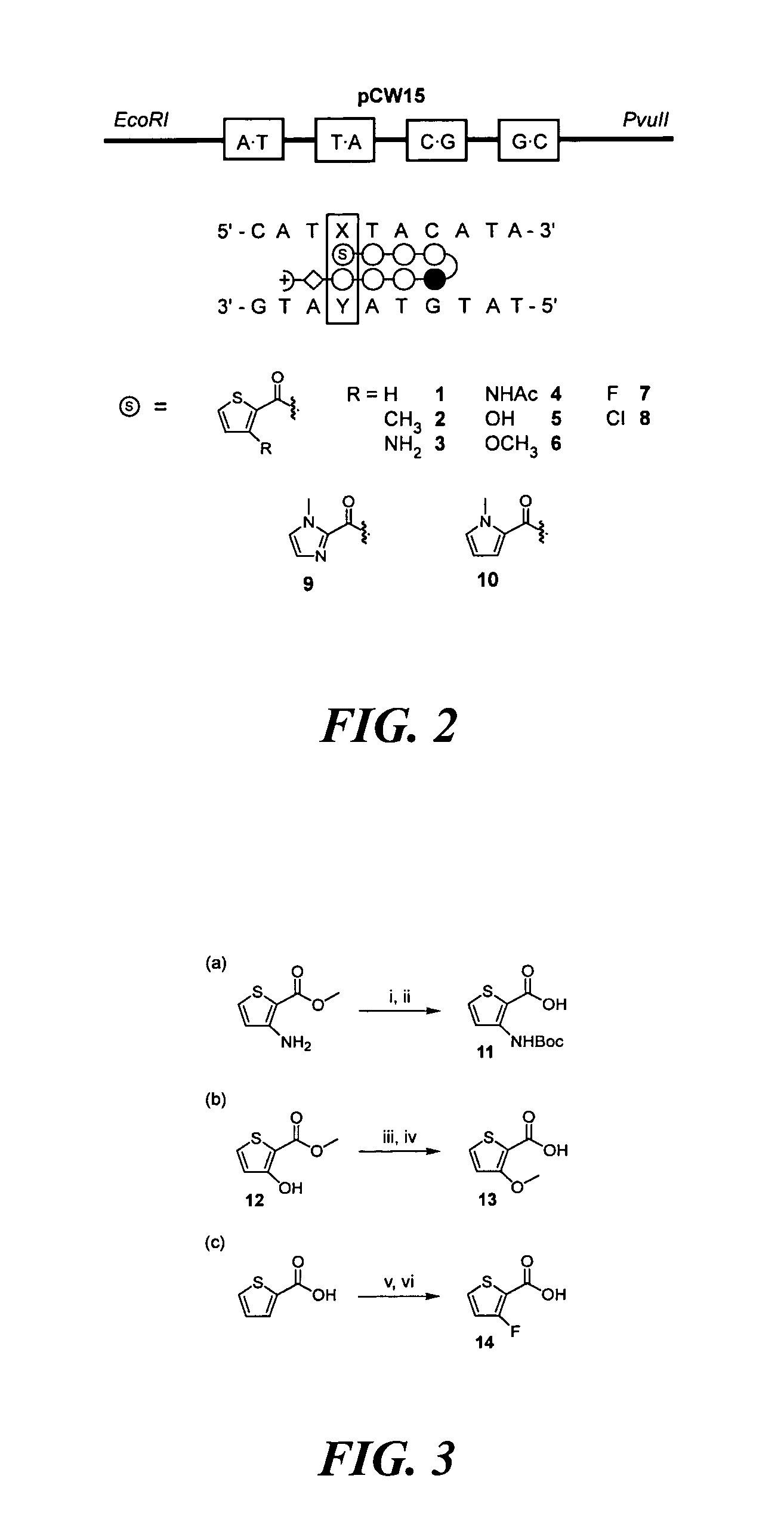 DNA-binding polymers