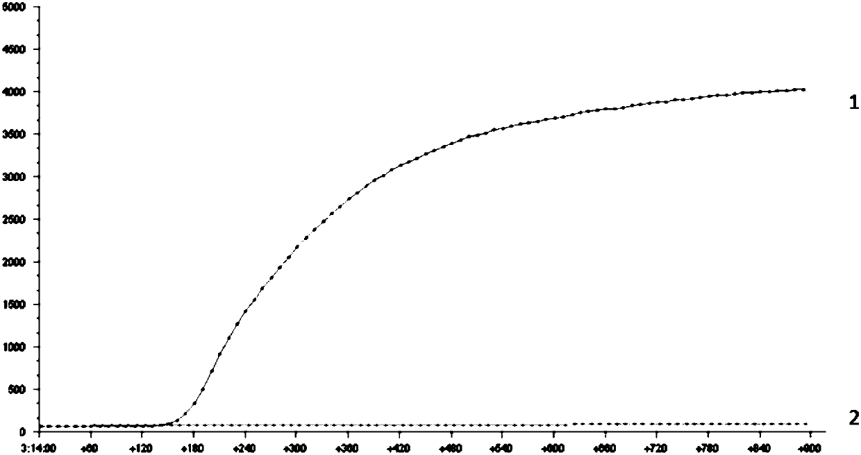 RPA primer, probe, kit and detection method for detecting staphylococcus aureus