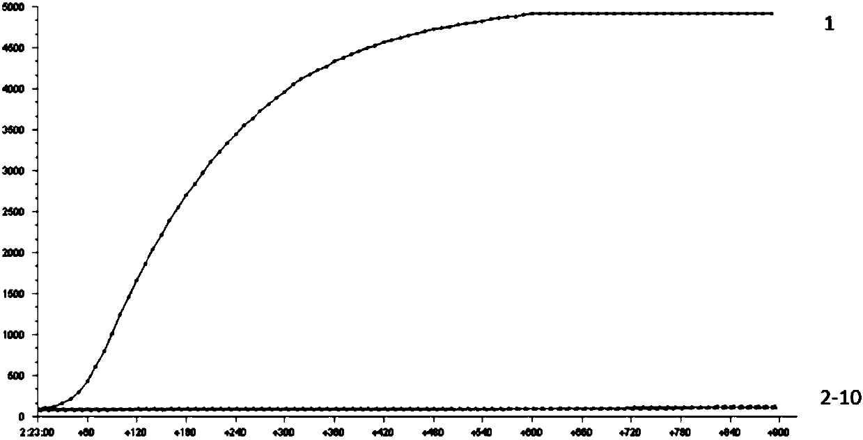 RPA primer, probe, kit and detection method for detecting staphylococcus aureus