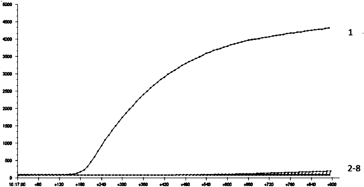 RPA primer, probe, kit and detection method for detecting staphylococcus aureus