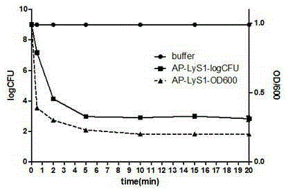 Wide spectrum bacteriophage chimeric lytic enzyme capable of resisting staphylococcus, preparation method and appliance thereof