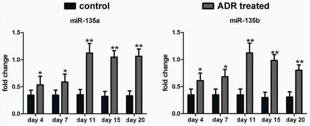 Purpose and relevant medicine of miR-135