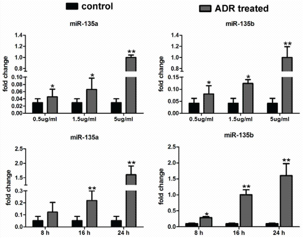 Purpose and relevant medicine of miR-135