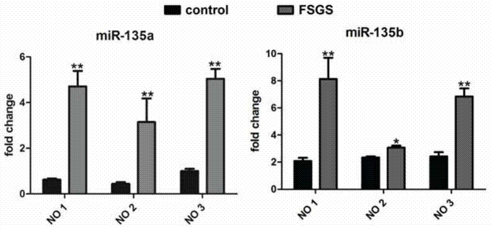 Purpose and relevant medicine of miR-135