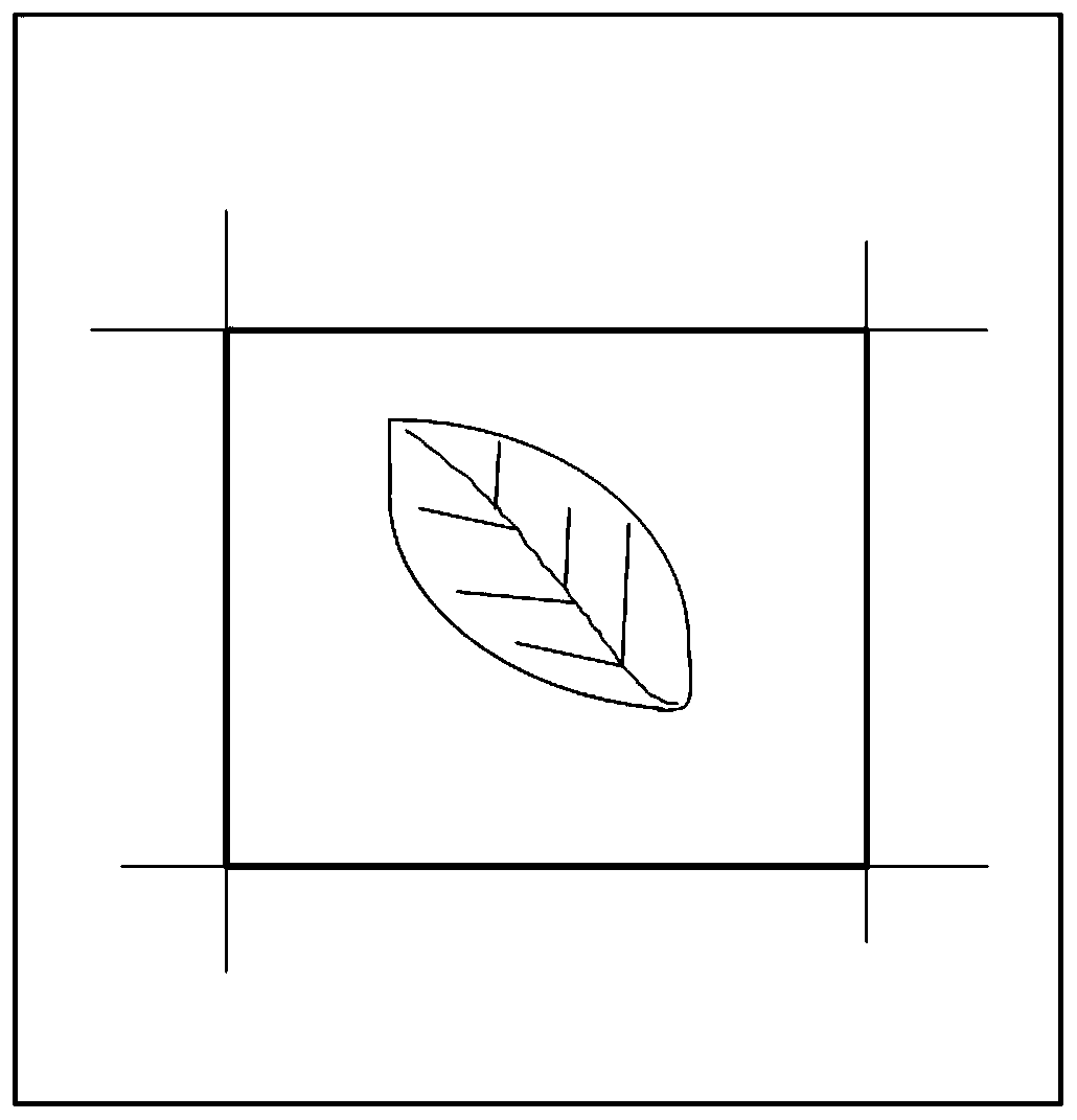 A method and system for measuring plant leaf area based on color calibration