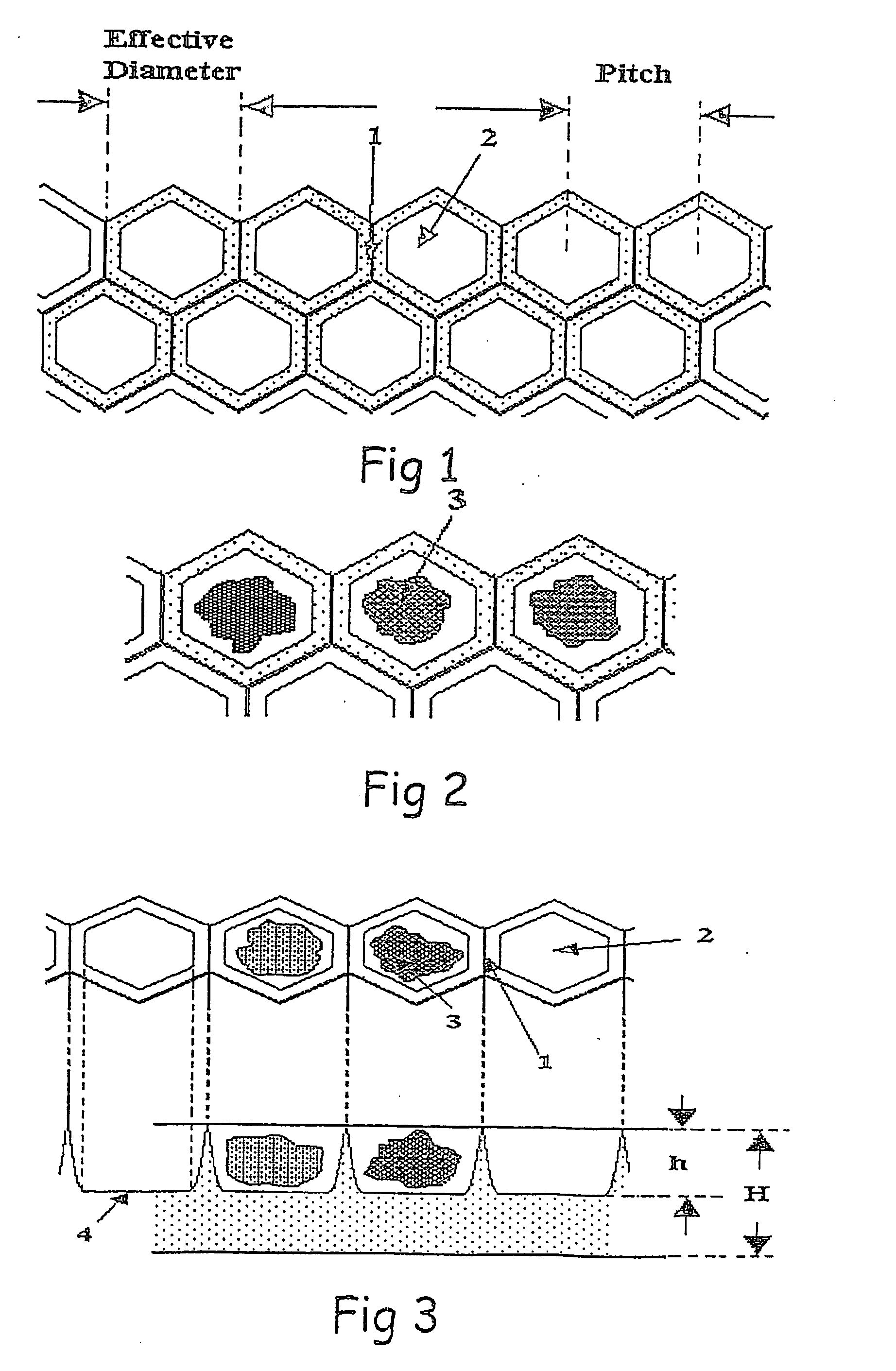 Interactive transparent individual cells biochip processor