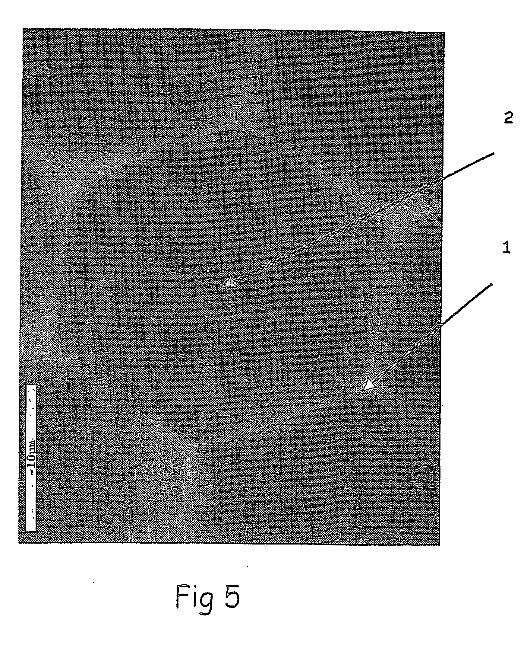 Interactive transparent individual cells biochip processor