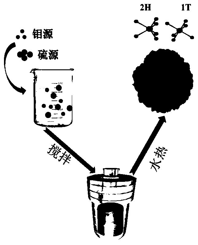 1T/2H mixed-phase molybdenum disulfide material as well as preparation method and application thereof