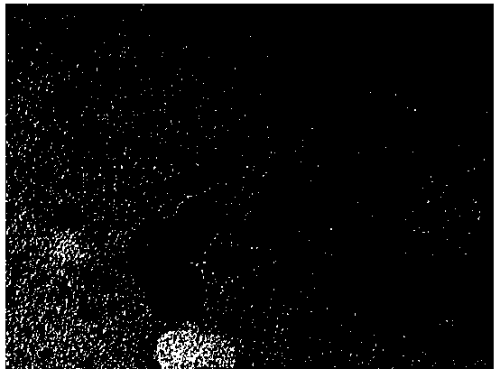 Preparation method of silk fibroin/metal nanoparticle composite system