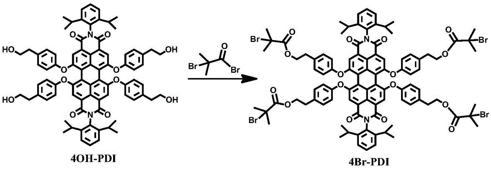 Fluorescent star polymer, preparation method and applications thereof