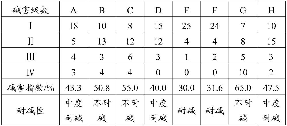 Identification method for alkali-resistant kiwi fruit germplasm resources