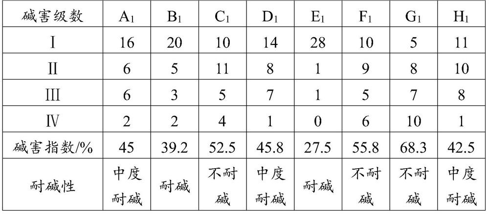 Identification method for alkali-resistant kiwi fruit germplasm resources