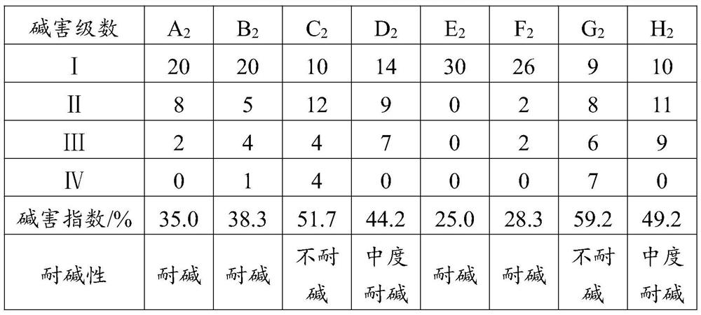 Identification method for alkali-resistant kiwi fruit germplasm resources