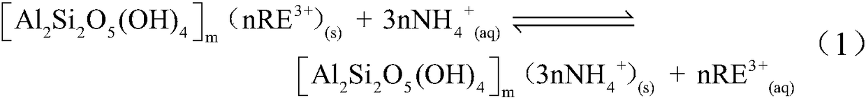 The process of extracting rare earth from southern rare earth ore by p204 extraction