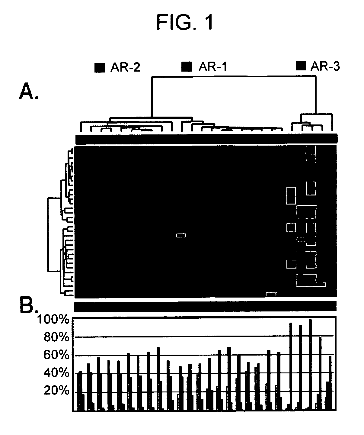 Methods and compositions for evaluating graft survival in a solid organ transplant recipient