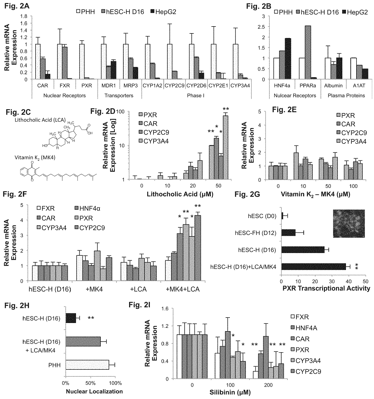 Methods of inducing metabolic maturation of human pluripotent stem cells— derived hepatocytes