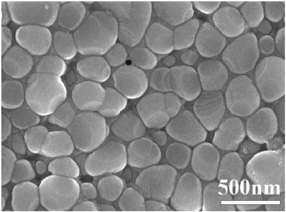 Preparation method of dental bioactive zirconia ceramic material