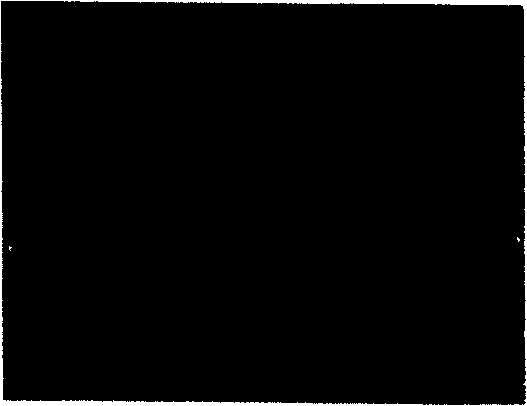 Self adaptive lead-free solder component preparation method