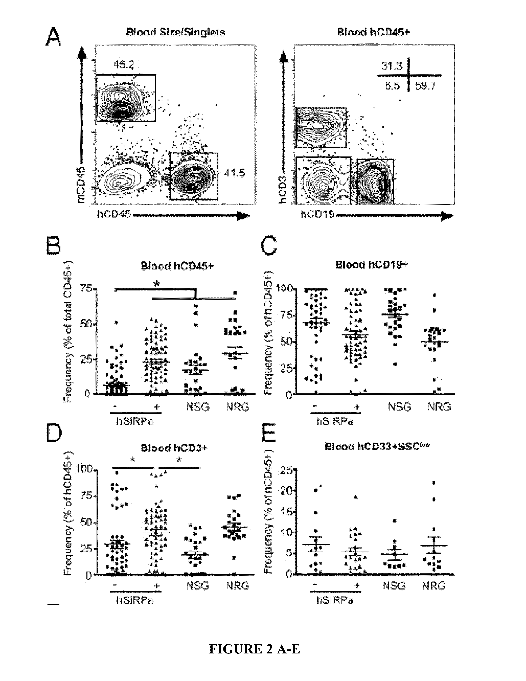 Human SIRPAalpha transgenic animals and their methods of use