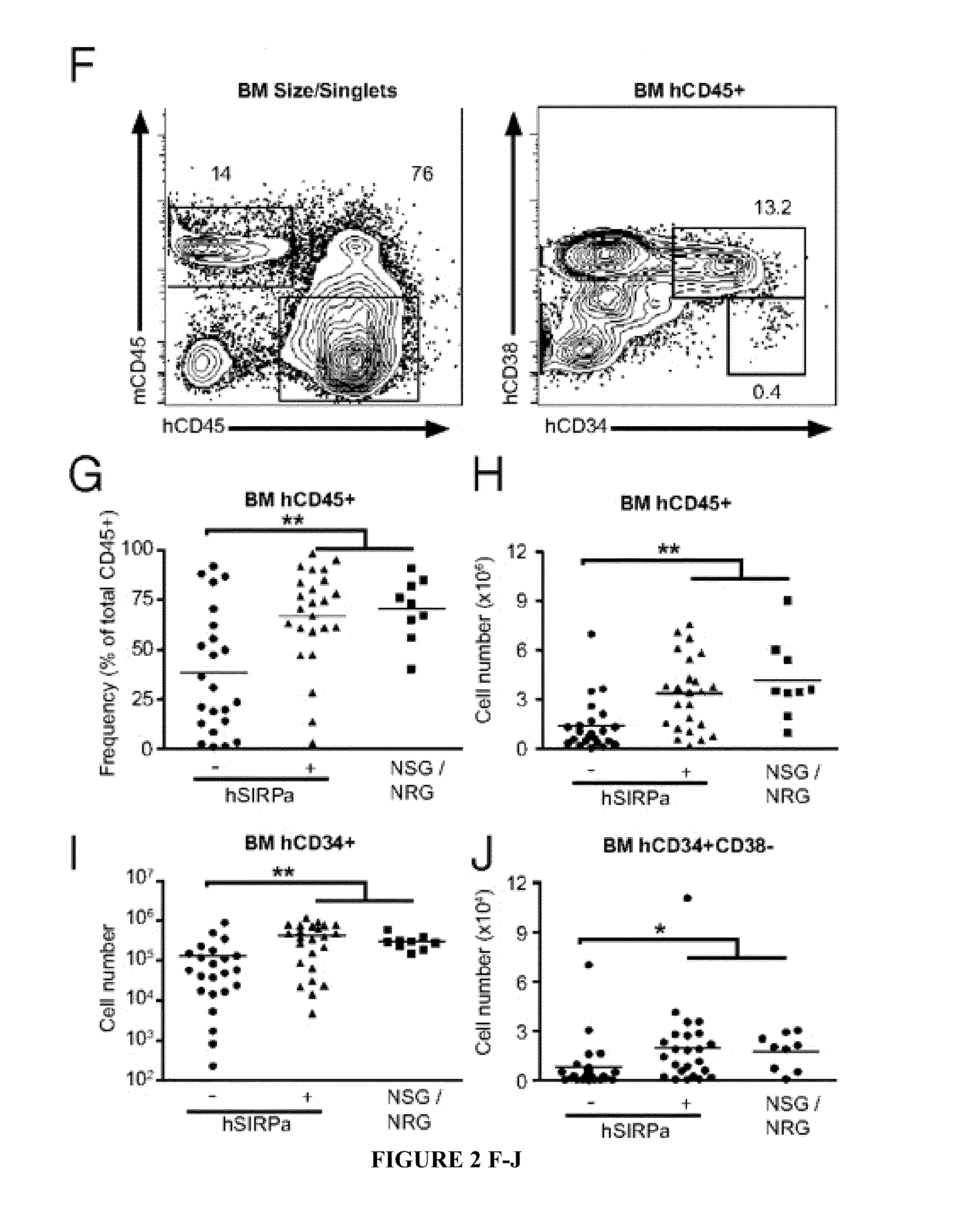 Human SIRPAalpha transgenic animals and their methods of use