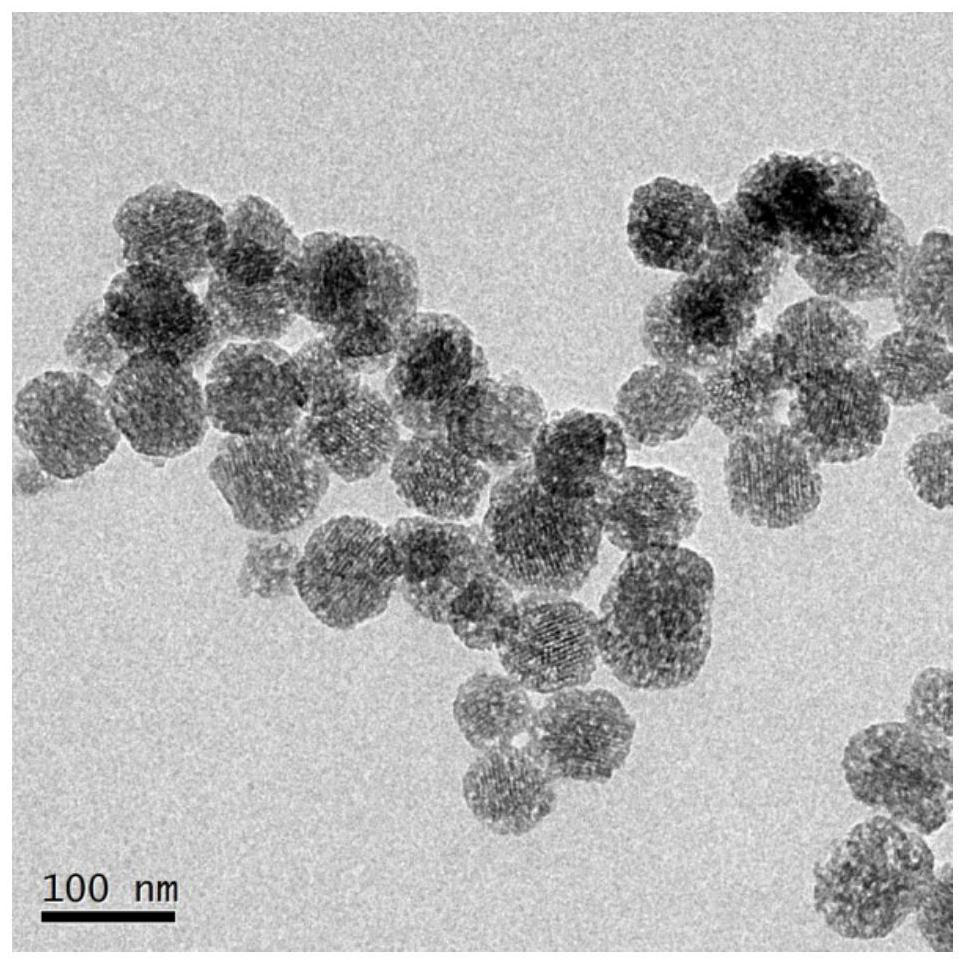 Preparation method of nano vaccine with pH and reduction dual sensitivity and obtained product