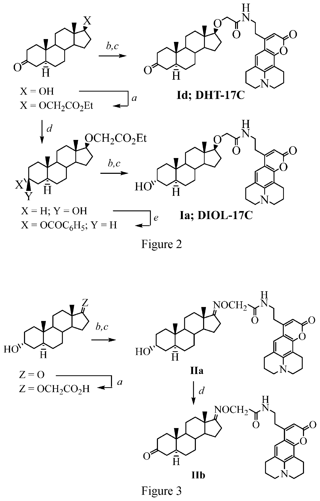 Coumarin-modified androgens for the treatment of prostate cancer