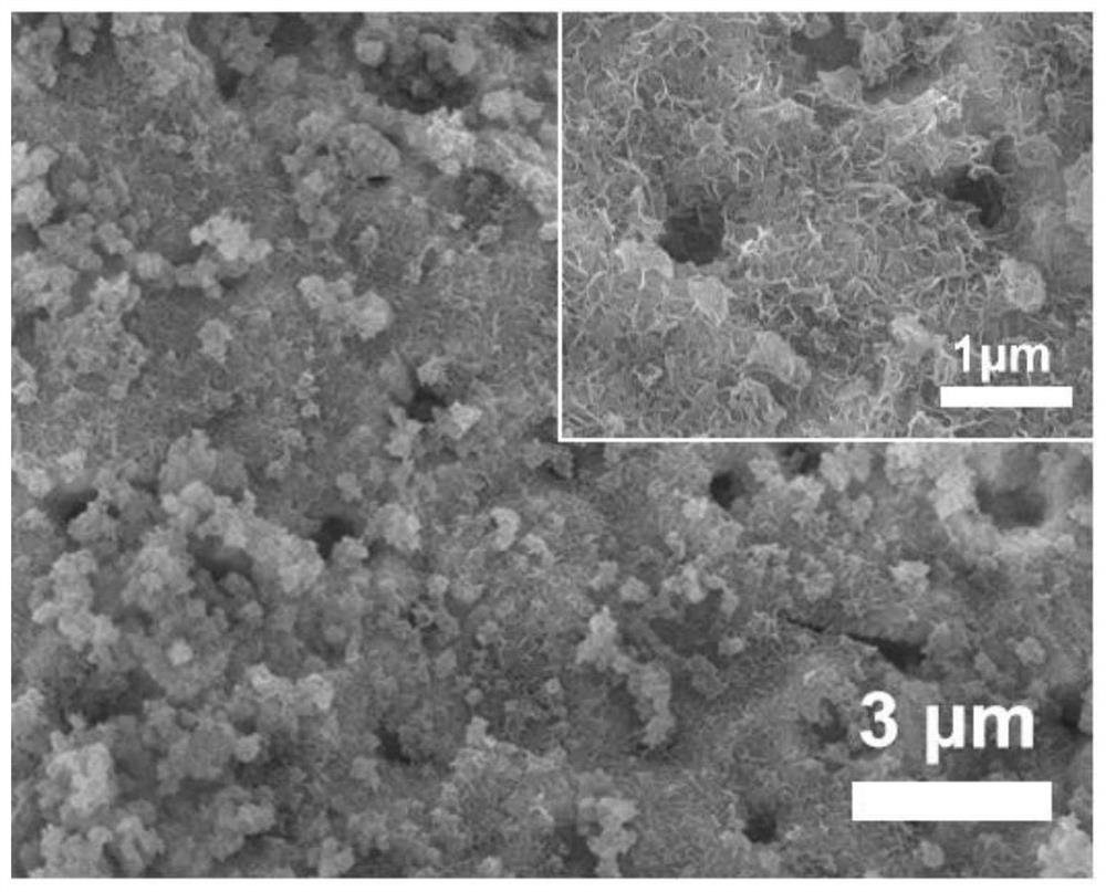 Preparation method of ferronickel-based nanosheet/foamed nickel oxygen evolution reaction electrode material