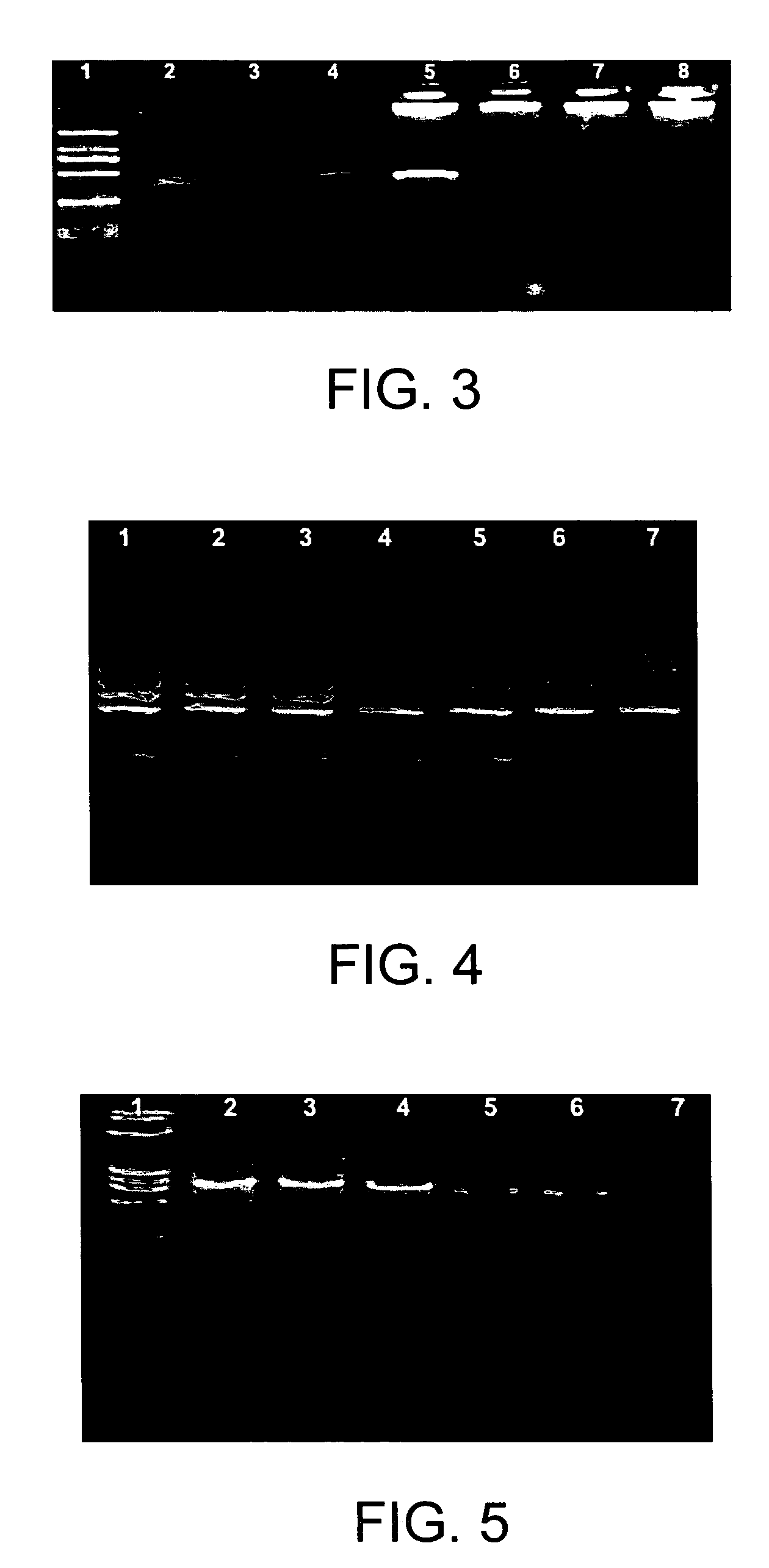 Method of optimizing amplification in PCR