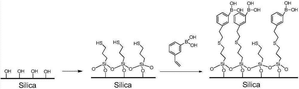 Phenyl boronic acid modified silica gel functional chromatographic filler, preparation method and applications thereof