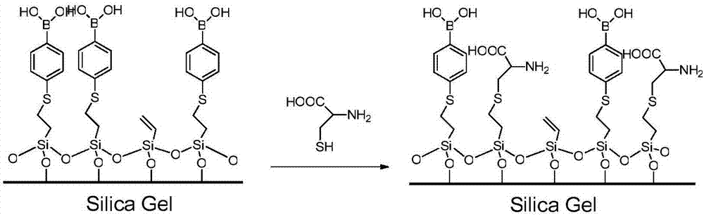 Phenyl boronic acid modified silica gel functional chromatographic filler, preparation method and applications thereof