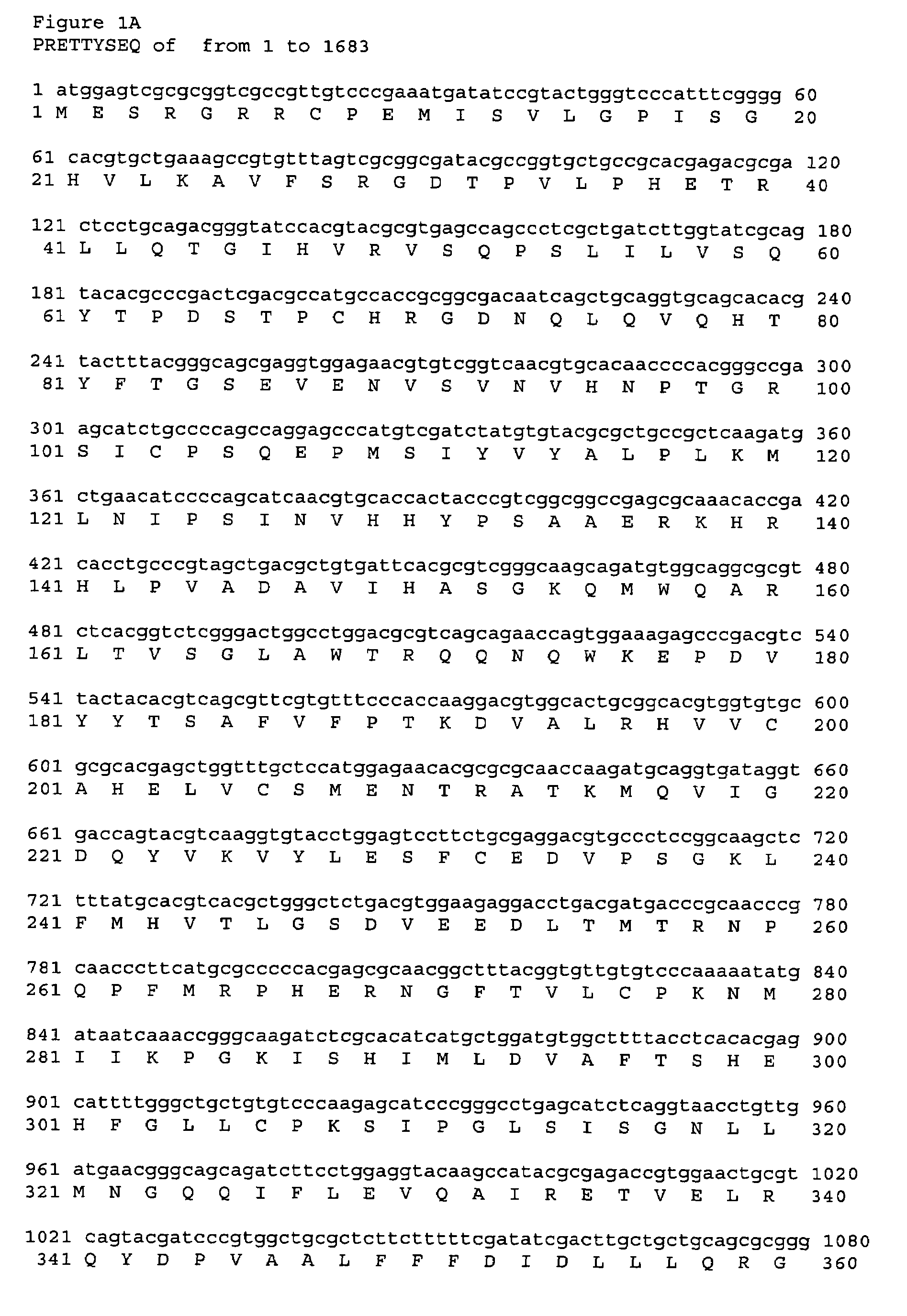 Codon-optimized polynucleotide-based vaccines against human cytomegalovirus infection