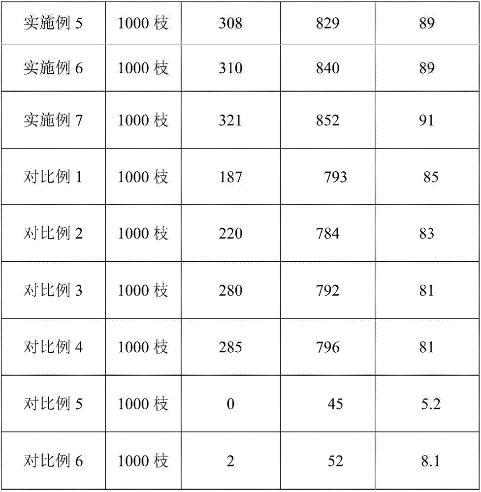 Rapid propagation and cultivation method for non-test-tube plantlets of Cotinus coggygria Royal purple