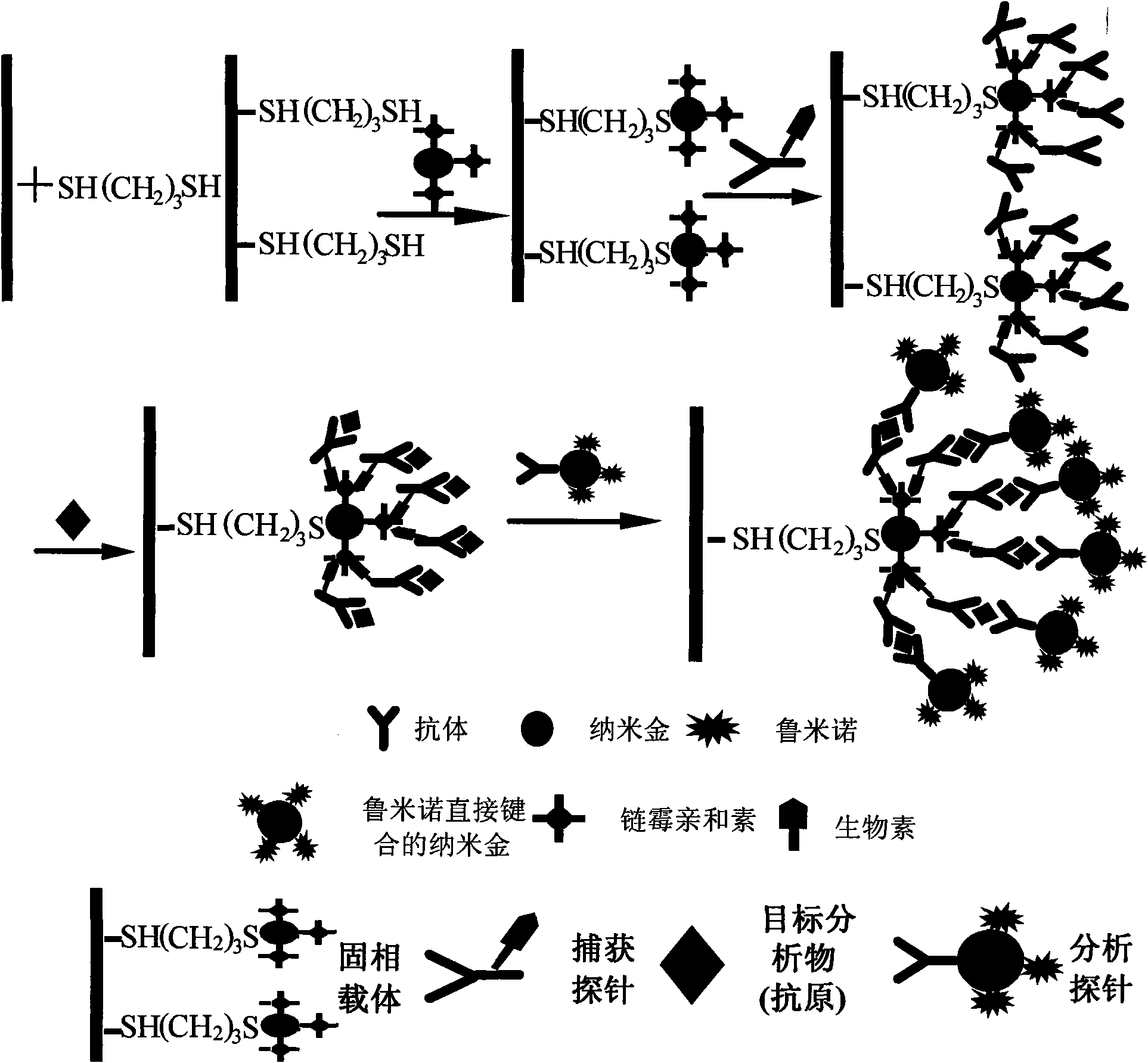 Application of nano-gold directly bonded with luminol in immunoassay