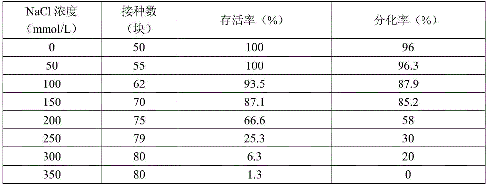 A method for screening dandelion salt-tolerant mutants