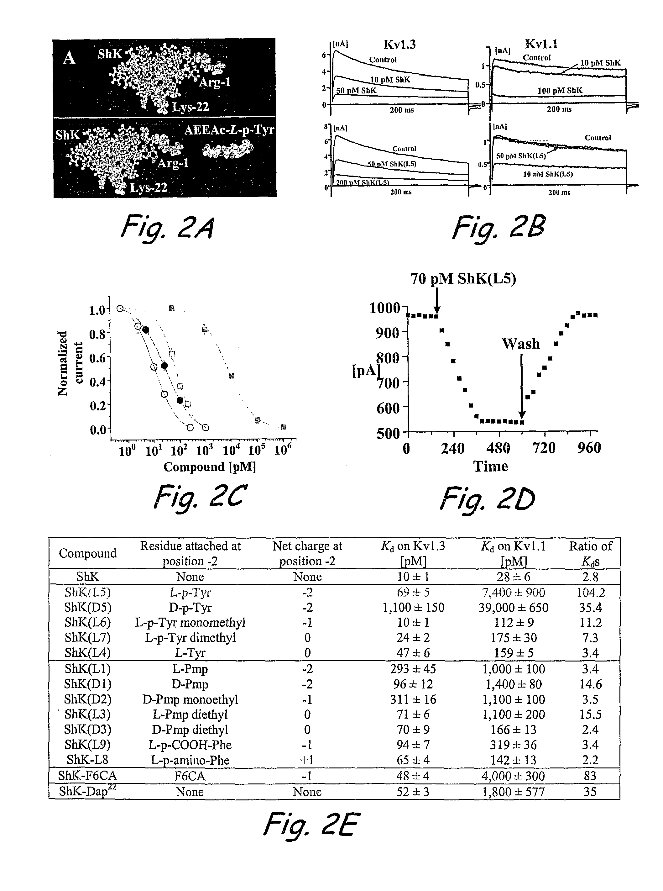 Analogs of ShK toxin and their uses in selective inhibition of Kv1.3 potassium channels