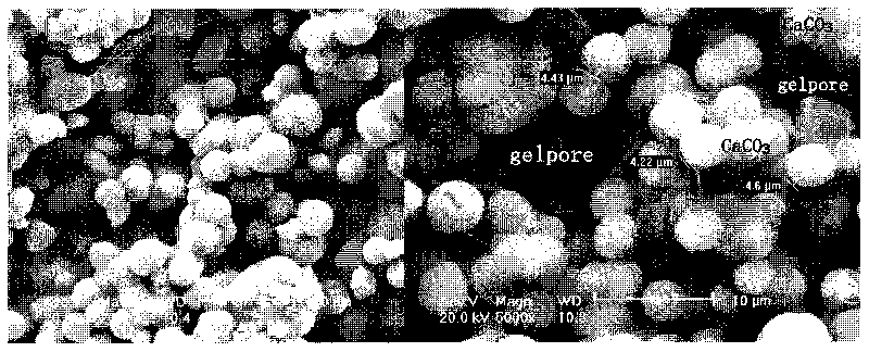 Method for laminating on surface of cement-based material by using sodium alginate-supported bacterial strain