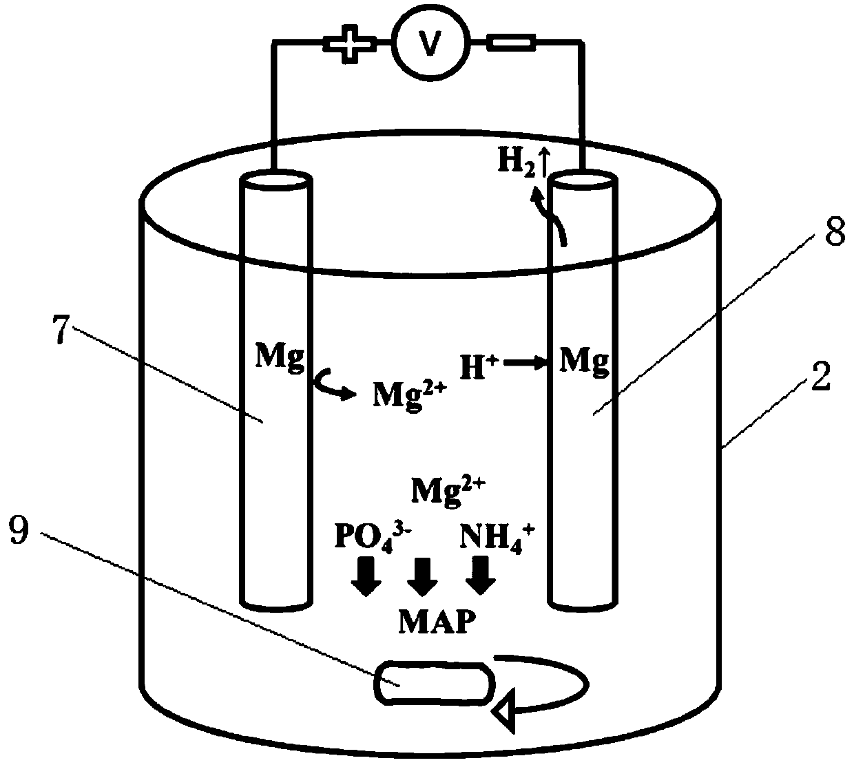 Method for recovering and purifying struvite from livestock and poultry manure