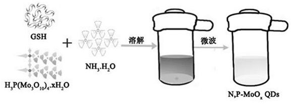 Preparation method and application of molybdenum oxide quantum dots with adjustable optical properties