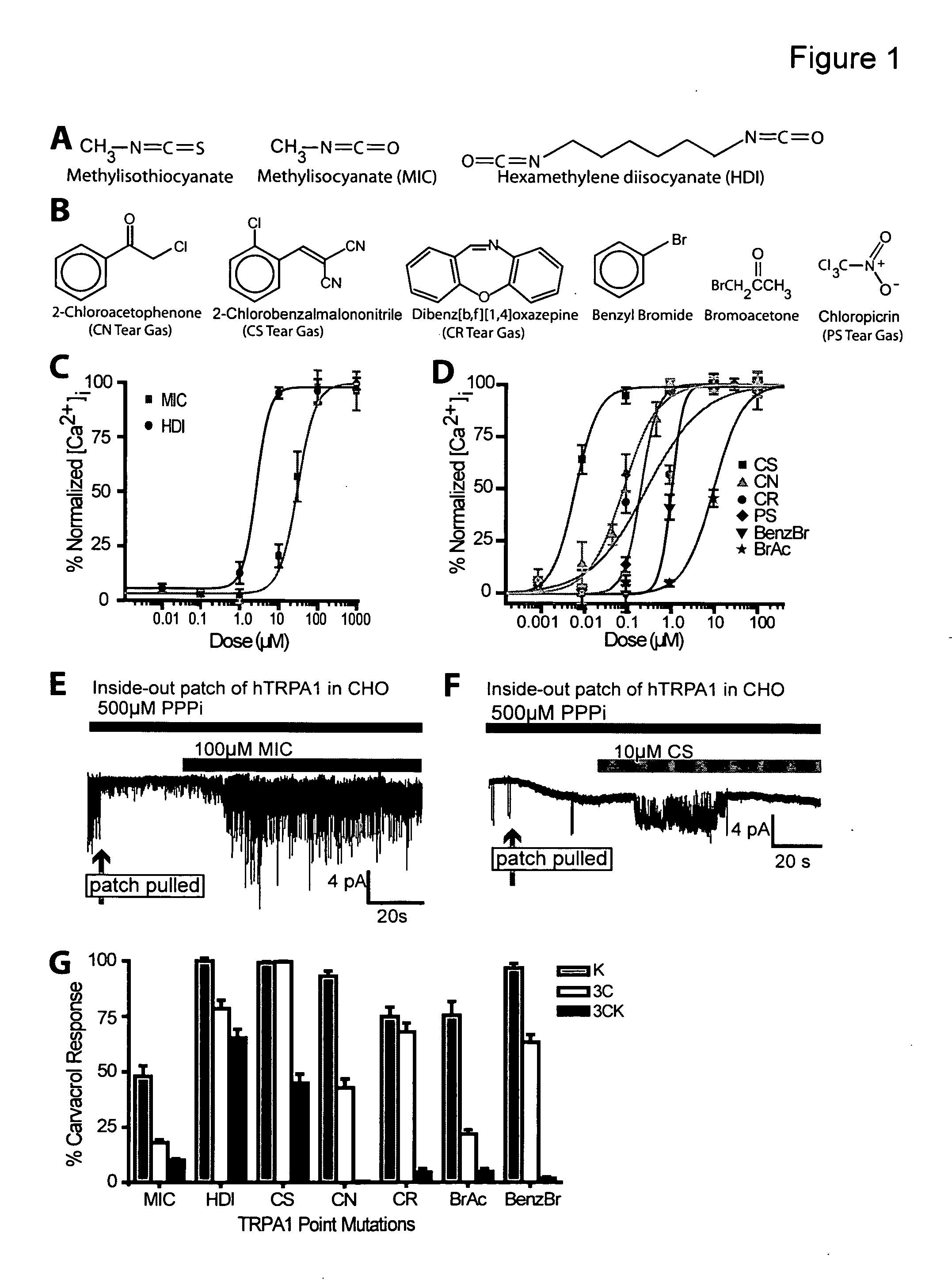 Method for preventing or alleviating the noxious effects resulting from toxicant exposure