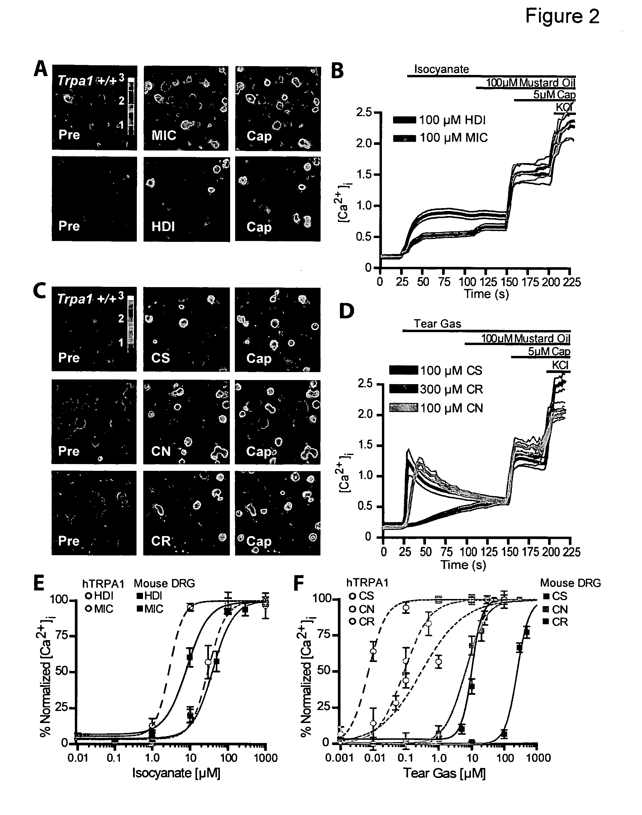 Method for preventing or alleviating the noxious effects resulting from toxicant exposure