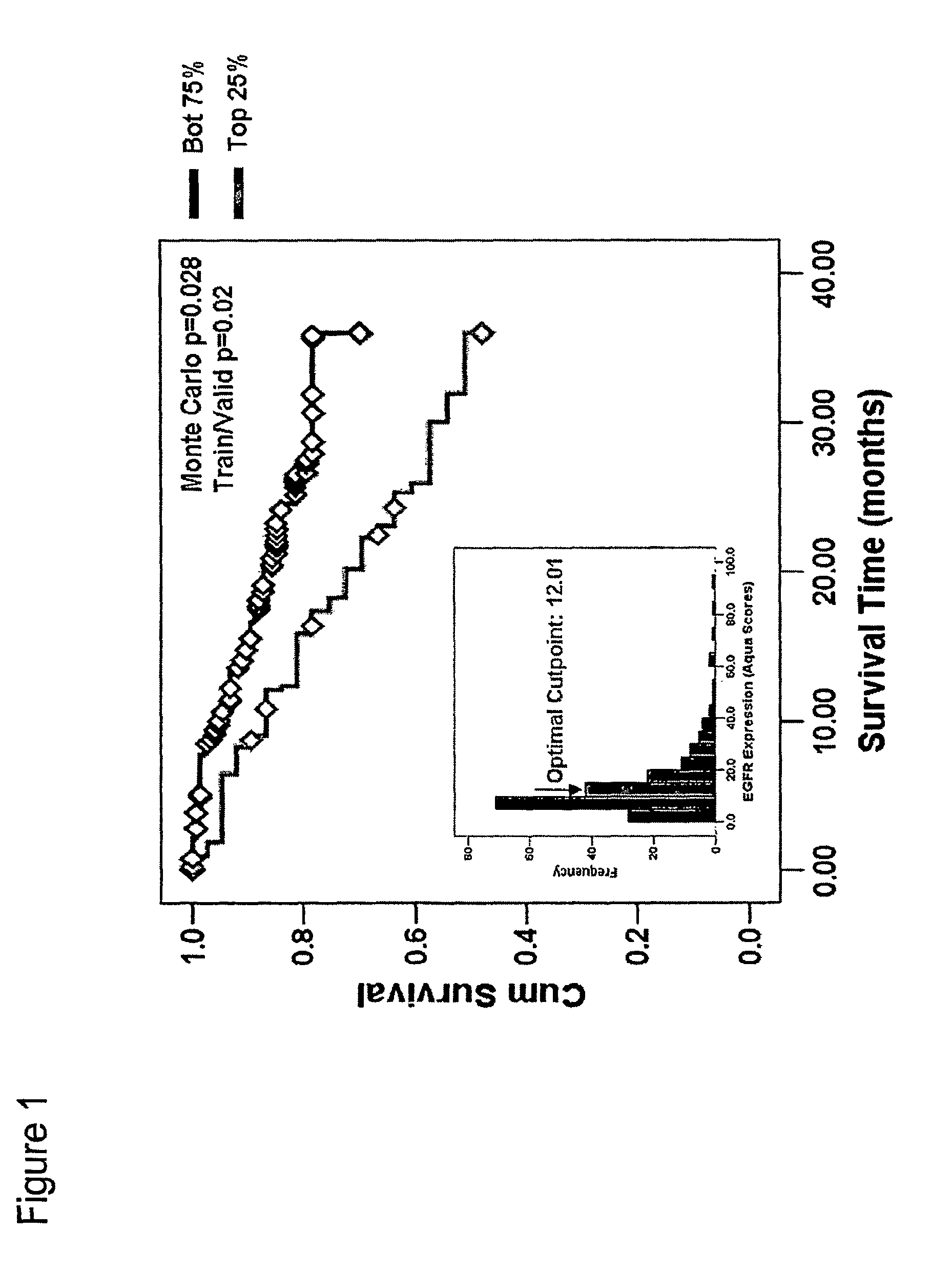 Methods for determining signal transduction activity in tumors